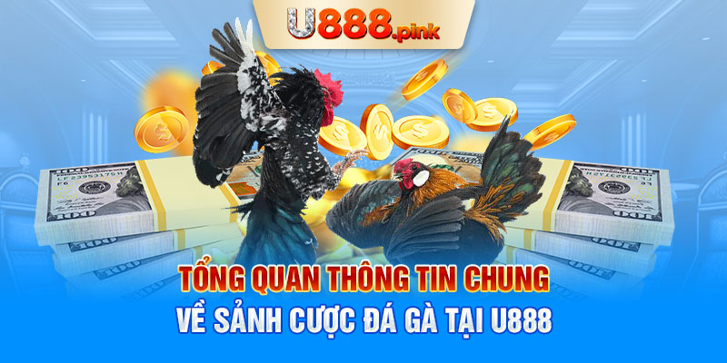 Tổng quan thông tin chung về sảnh cược đá gà tại U888