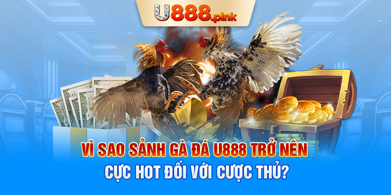 Vì sao sảnh gà đá U888 trở nên cực hot đối với cược thủ?