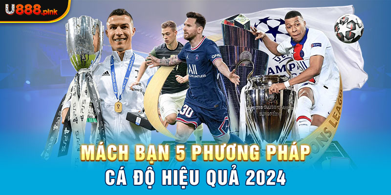 Mách bạn 5 phương pháp cá độ hiệu quả 2024