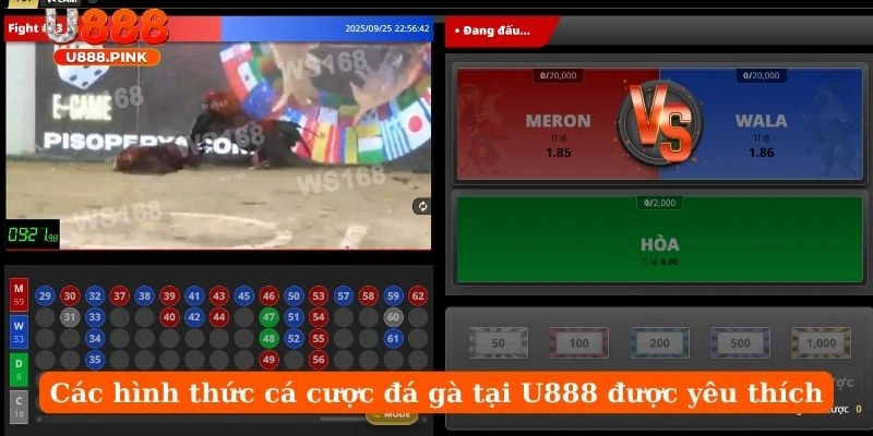 Các hình thức cá cược đá gà tại U888 được yêu thích