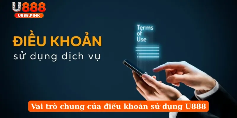 Vai trò chung của điều khoản sử dụng U888