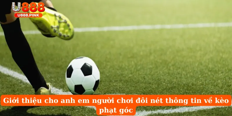 Giới thiệu cho anh em người chơi đôi nét thông tin về kèo phạt góc