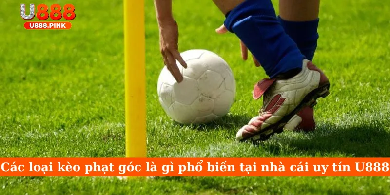 Các loại kèo phạt góc là gì phổ biến tại nhà cái uy tín U888