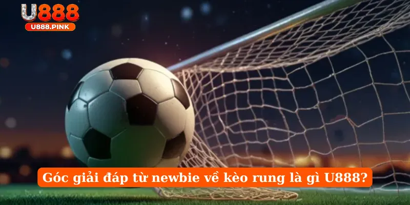 Góc giải đáp từ newbie về kèo rung là gì U888?
