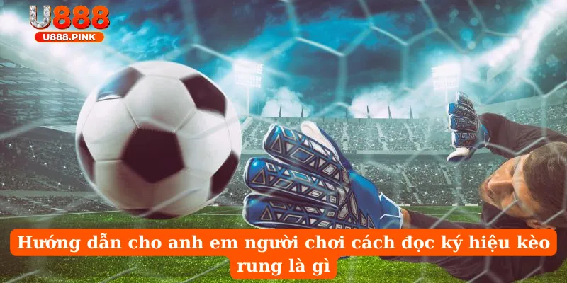 Hướng dẫn cho anh em người chơi cách đọc ký hiệu kèo rung là gì