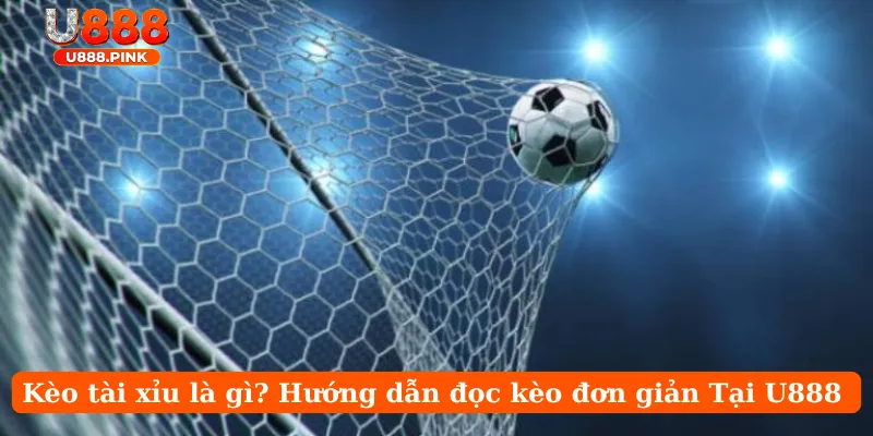 Kèo Rung Là Gì – Kinh Nghiệm Đánh Rung 100% Thắng Tại U888