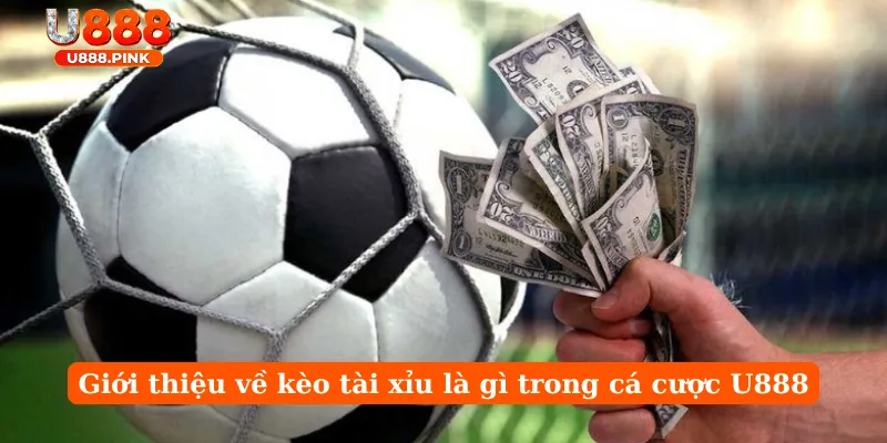 Giới thiệu về kèo tài xỉu là gì trong cá cược U888