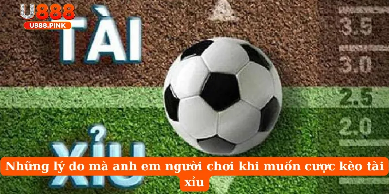 Những lý do mà anh em người chơi khi muốn cược kèo tài xỉu