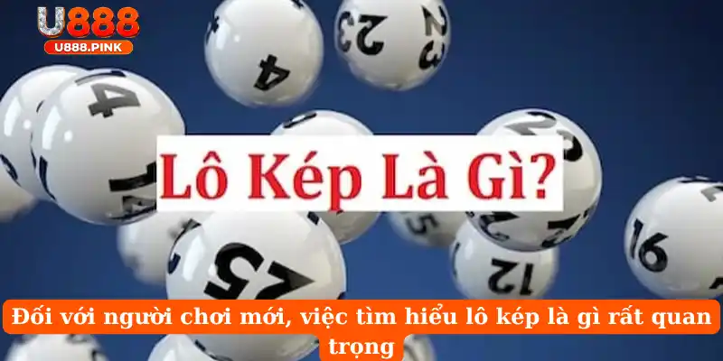Đối với người chơi mới, việc tìm hiểu lô kép là gì rất quan trọng